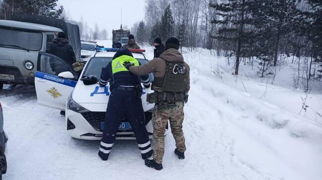 Сотрудники ФСБ в Новосибирской области раскрыли деятельность крупной группы черных лесорубов с участием руководителя участка лесхоза и инспектора ДПС