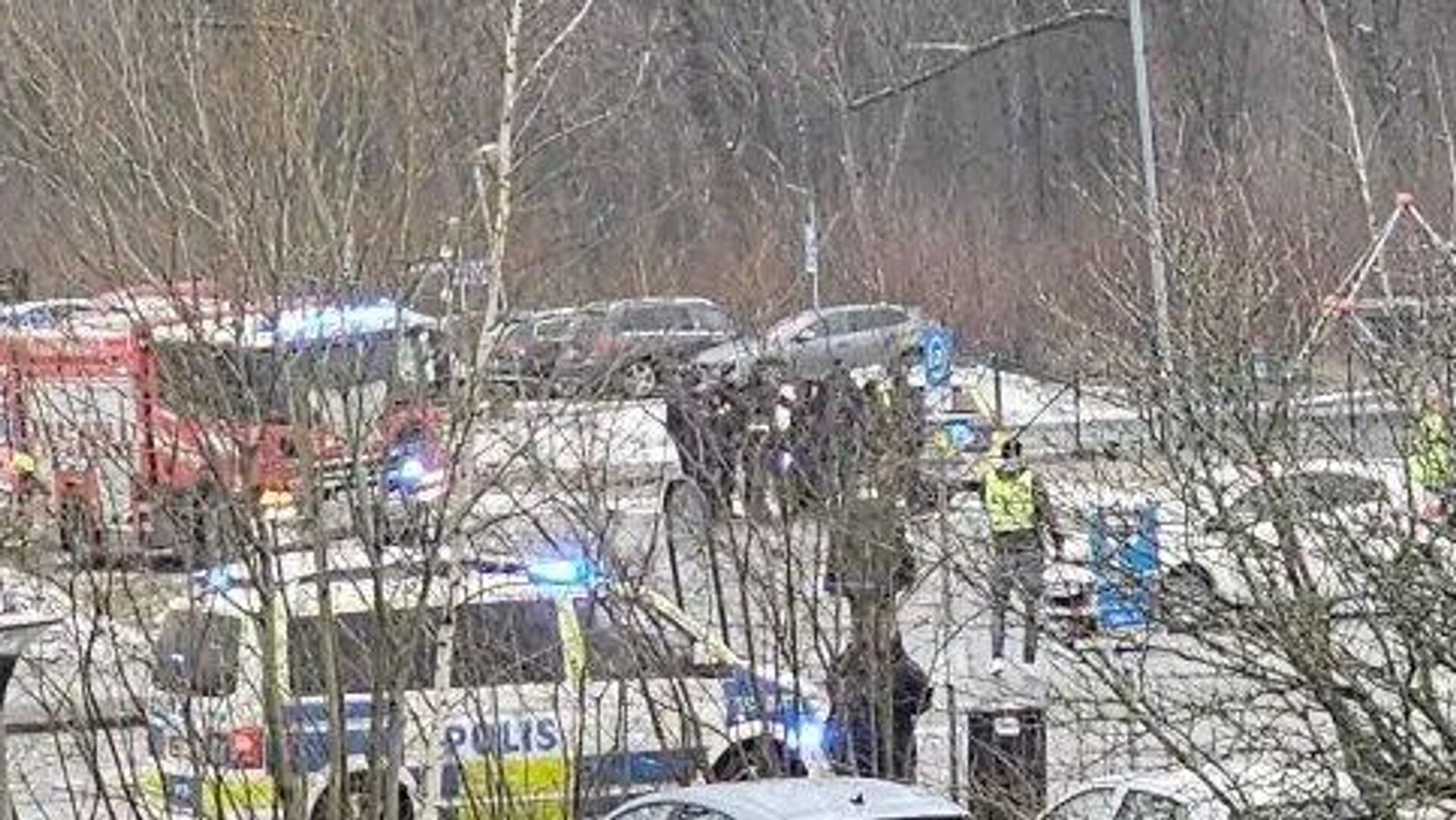 Плакат: Боритесь с двуногими вредителями! Тот деревню разоряет / ... Аукционы Ау