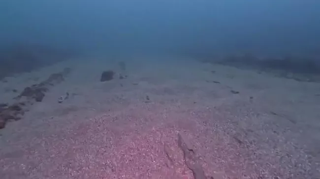 Обследование дна Черного моря в районе заказника Большой Утриш