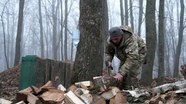 Боец добровольческого отряда Тигр заготавливает дрова Боец добровольческого отряда Тигр заготавливает дрова