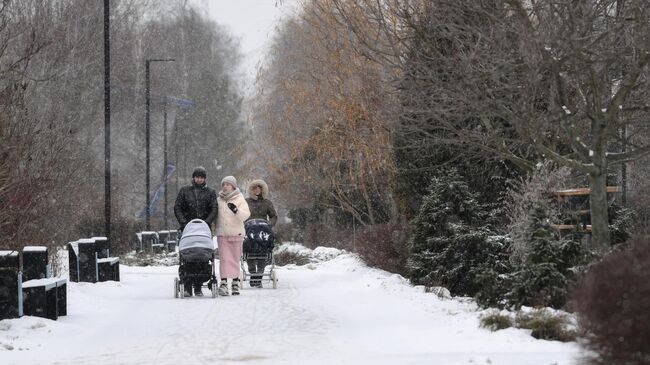 Люди во время прогулки в Московской области