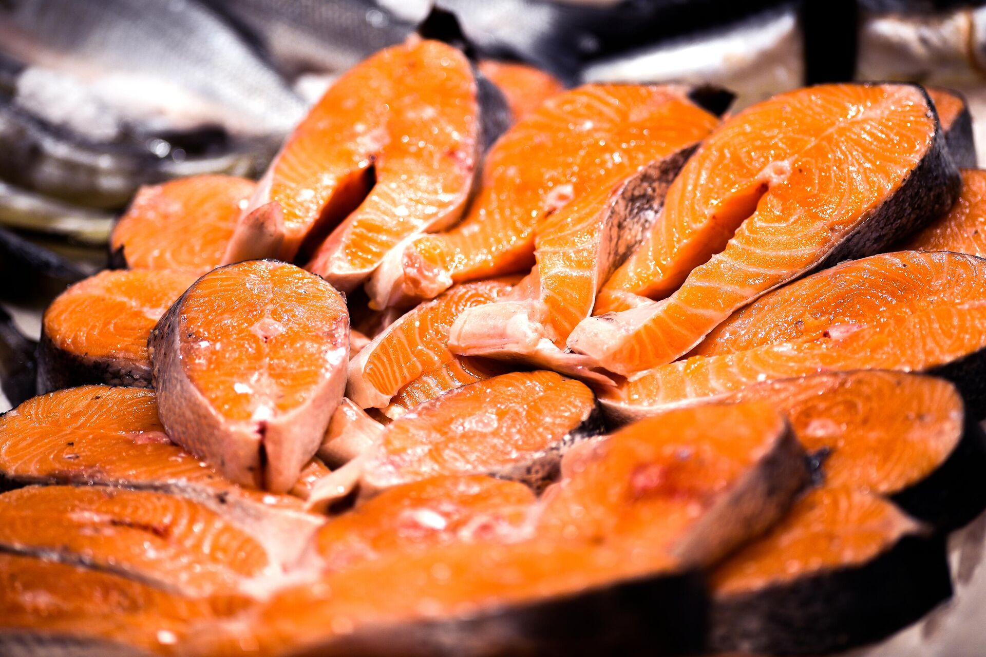 Рыбные стейки - РИА Новости, 1920, 15.12.2025