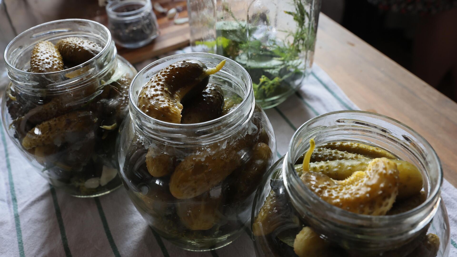 Заготовка огурцов на дачном участке - РИА Новости, 1920, 06.09.2025