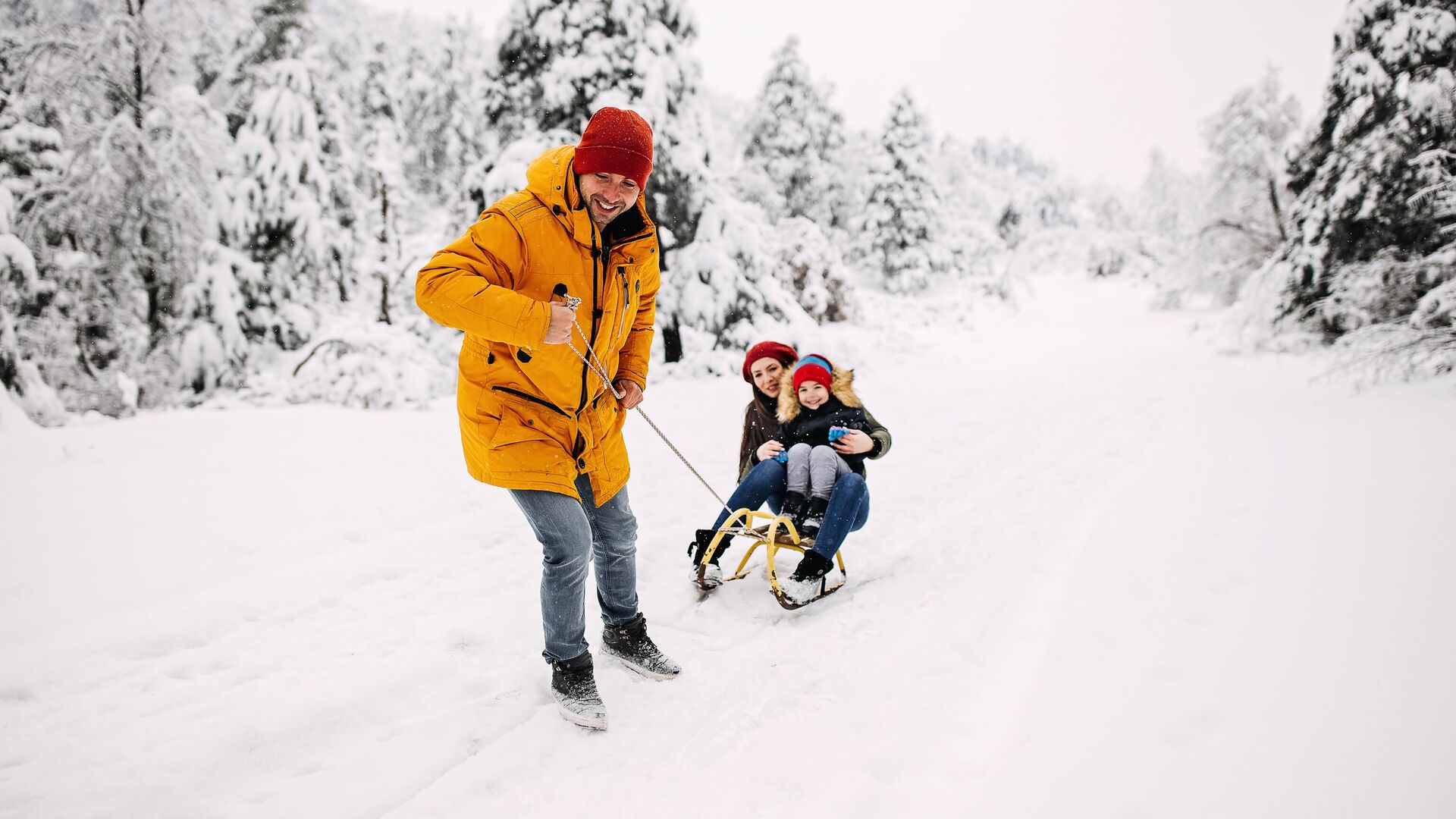 Какой сегодня праздник 20 февраля Какой сегодня праздник 20 февраля - РИА Новости, 1920, 20.02.2025