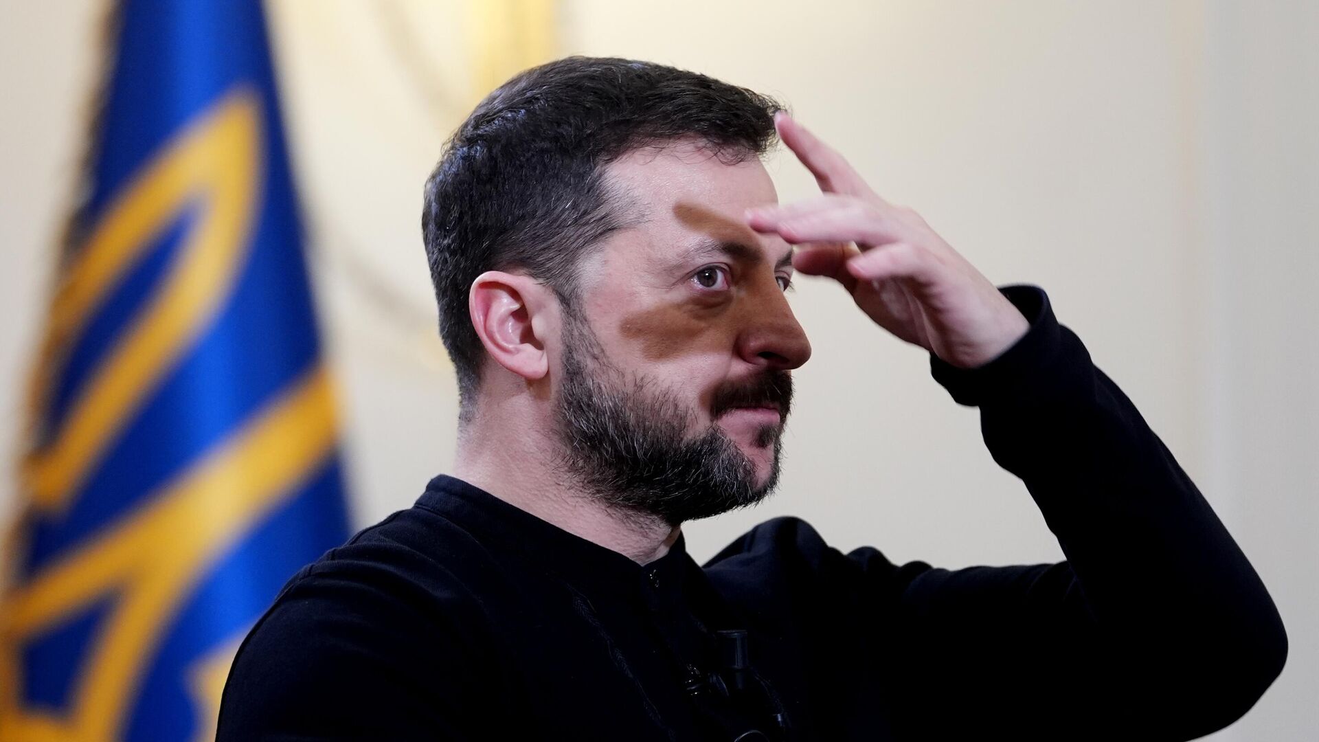 Владимир Зеленский - РИА Новости, 1920, 19.02.2025