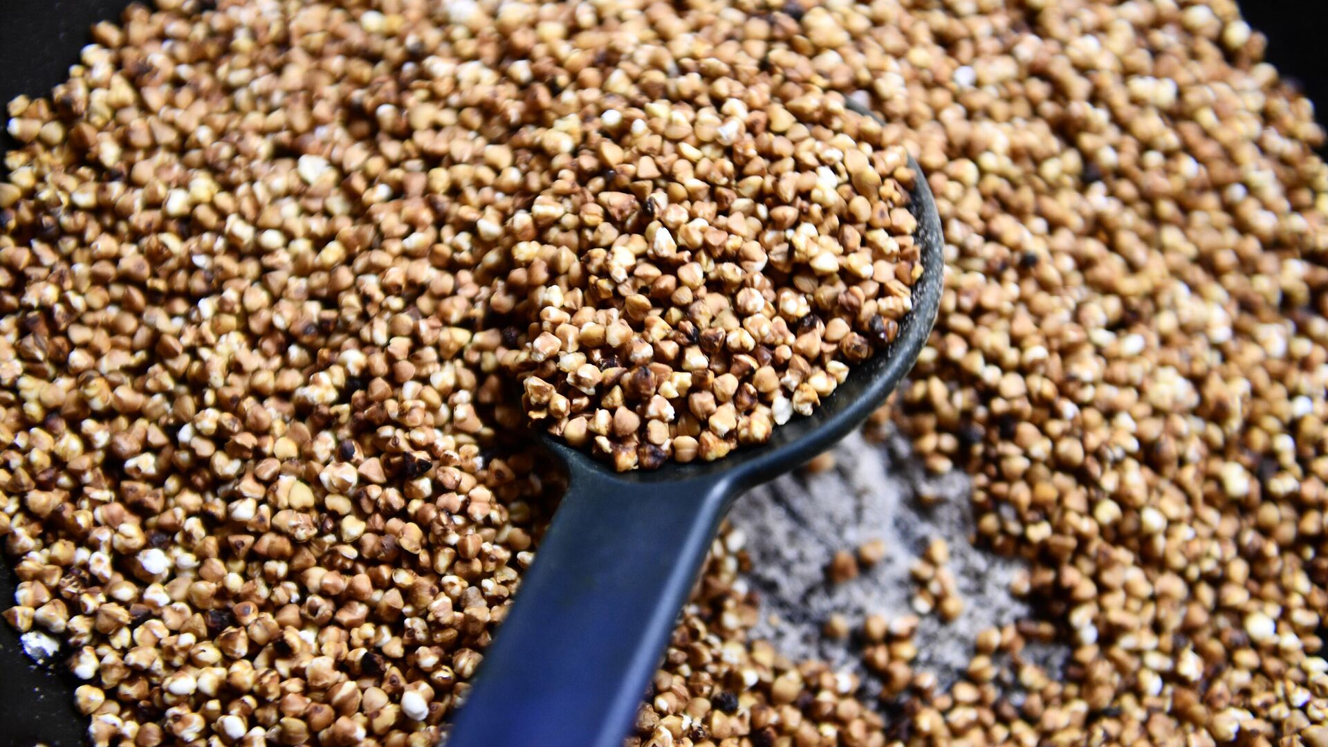 Приготовление гречневой каши - РИА Новости, 1920, 11.06.2025