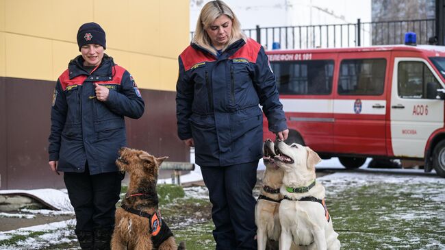 Тренировка собак-спасателей в пожарно-спасательном центре