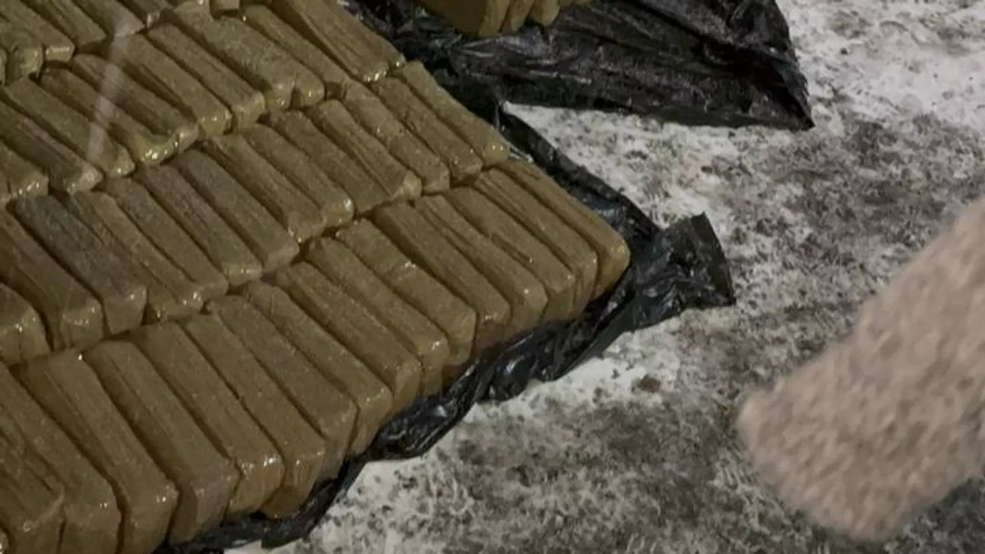 Таможенники задержали гражданина Белоруссии, который пытался провезти в Россию 140 килограммов гашиша - РИА Новости, 1920, 20.02.2025