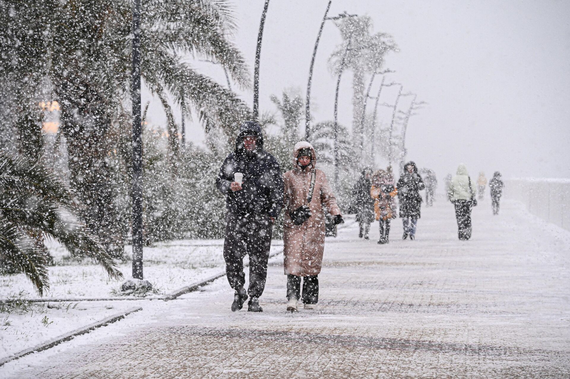 Снег в Сочи Снег в Сочи - РИА Новости, 1920, 12.12.2025