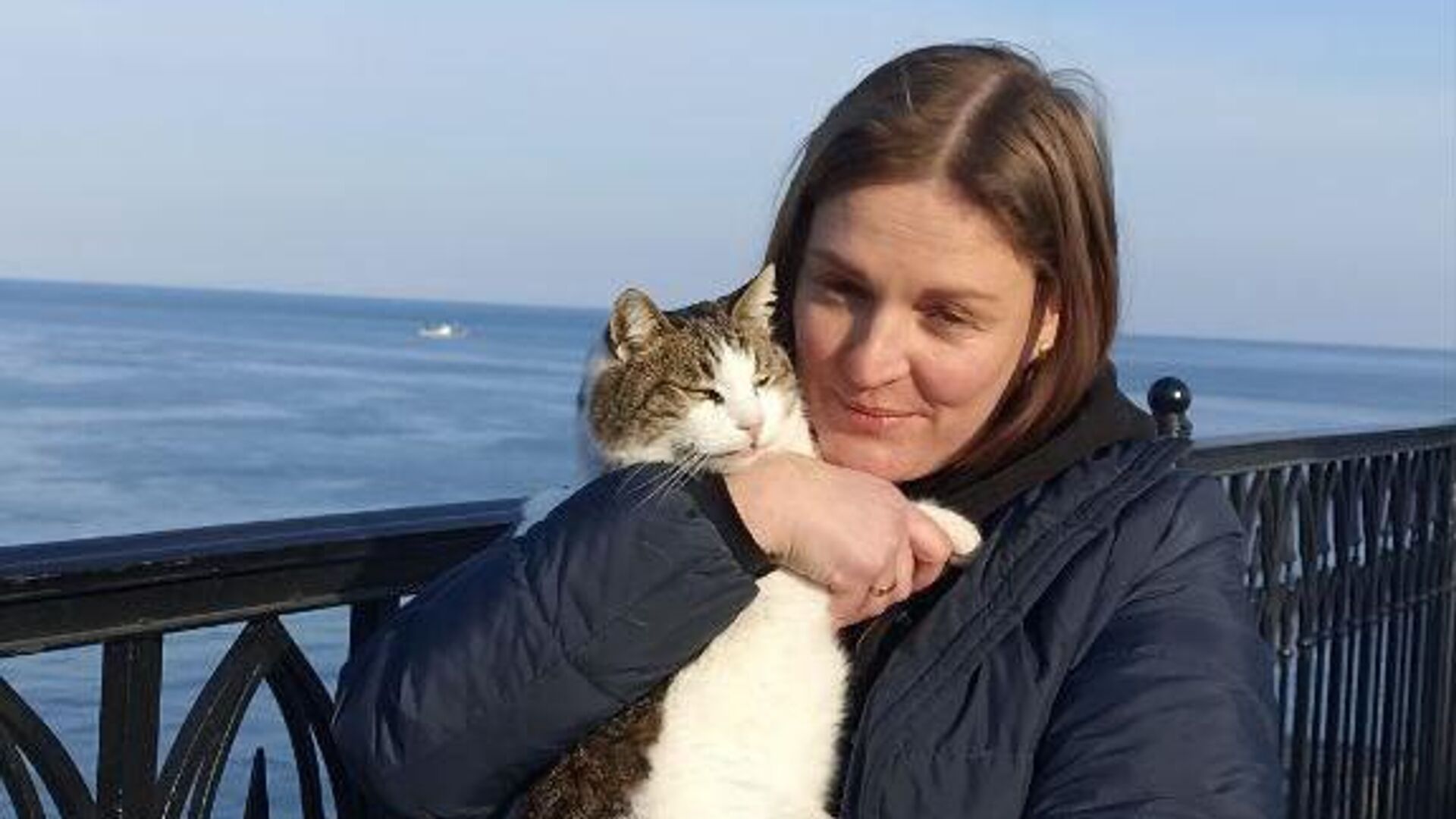 Кошка Муся после спасения Кошка Муся после спасения - РИА Новости, 1920, 26.02.2025