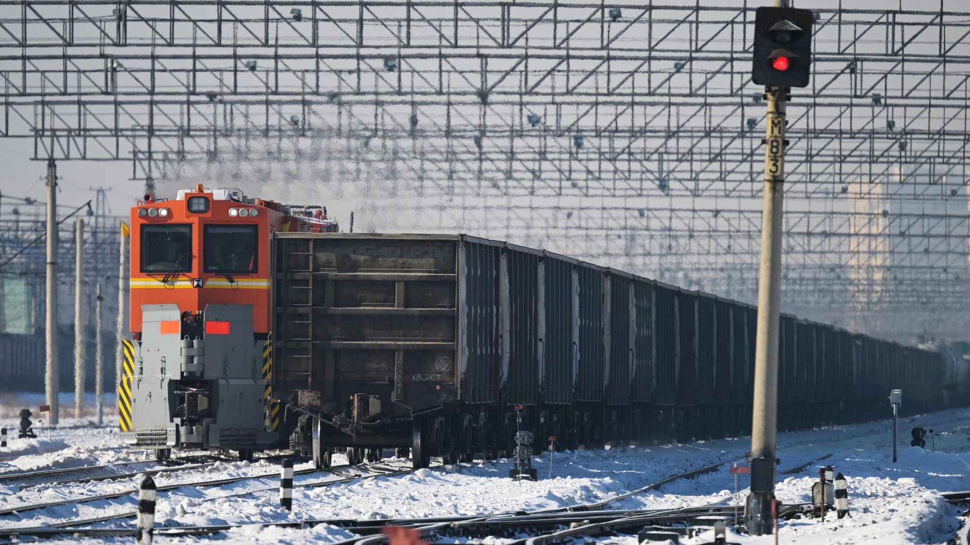 Грузовые вагоны Грузовые вагоны - РИА Новости, 1920, 05.03.2025