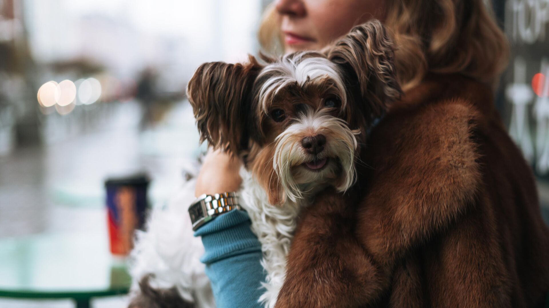 Какой сегодня праздник 28 февраля - РИА Новости, 1920, 28.02.2025