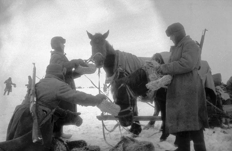Советские бойцы кормят лошадей соломенными лаптями, которые делали себе немцы, чтобы спастись от холода Советские бойцы кормят лошадей соломенными лаптями, которые делали себе немцы, чтобы спастись от холода
