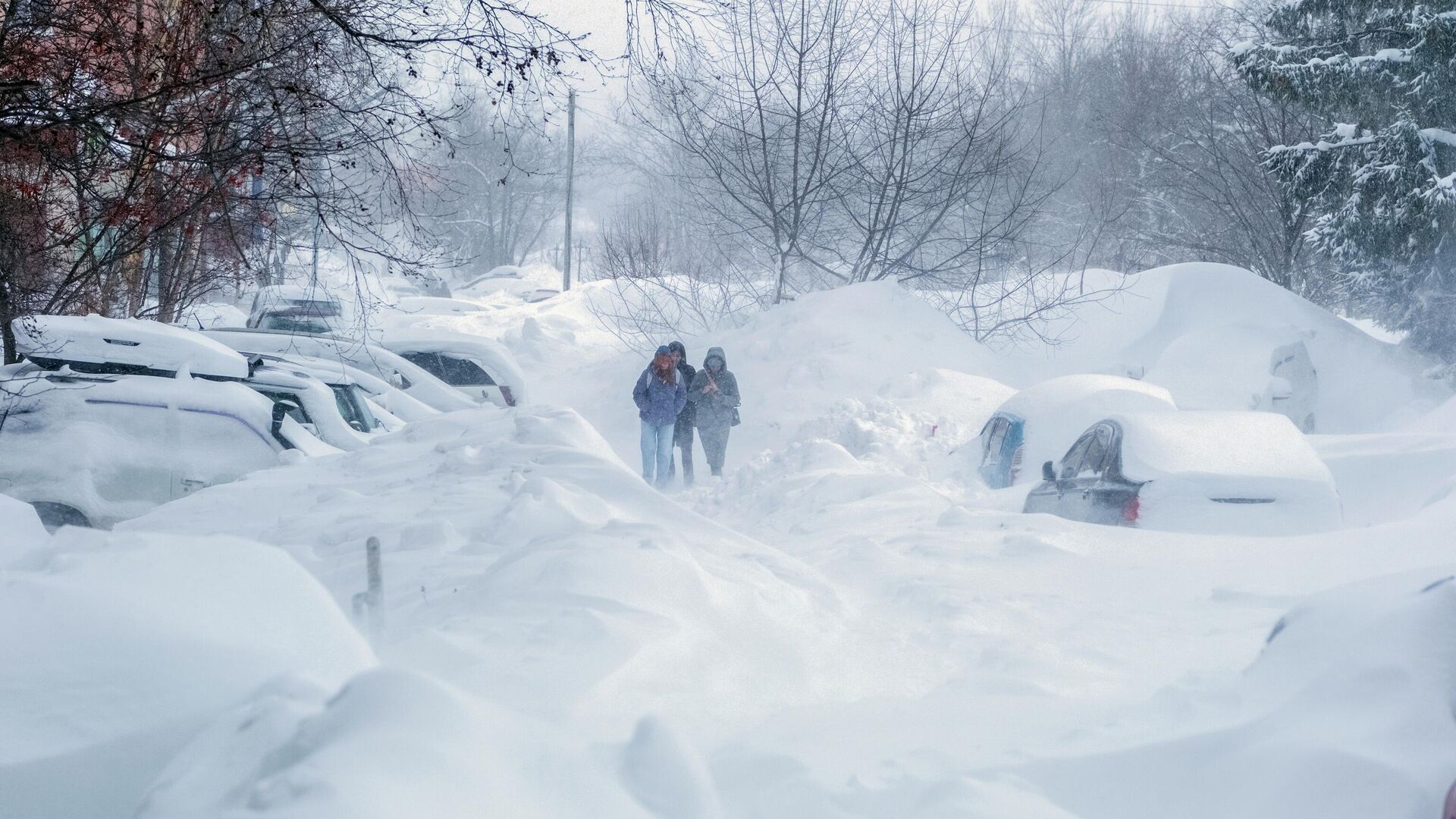 Зима - РИА Новости, 1920, 11.10.2025