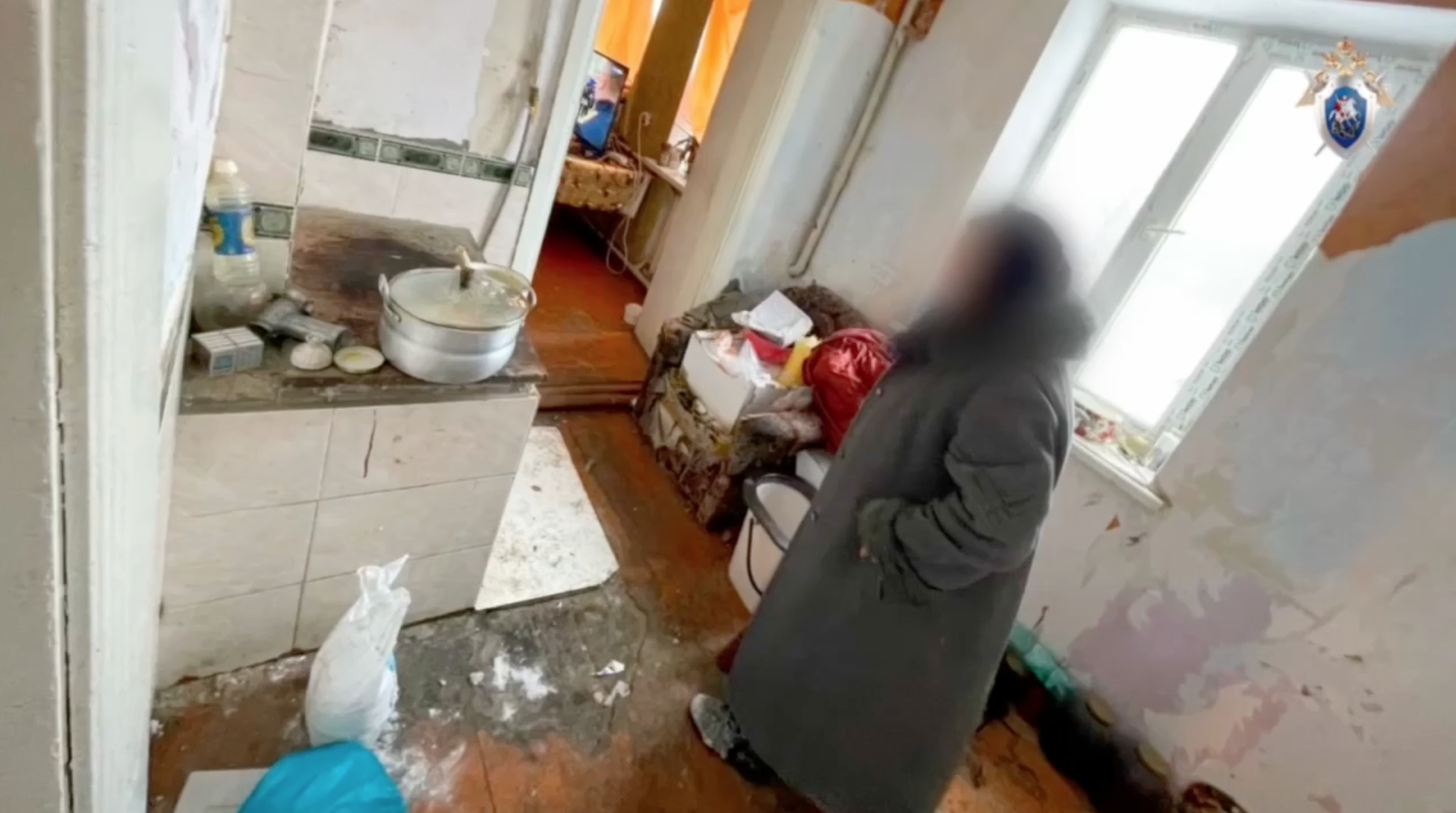 Обстановка дома у владелицы собак, которые загрызли девятилетнюю девочку - РИА Новости, 1920, 28.02.2025