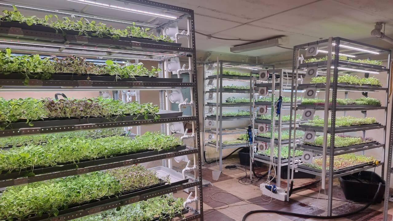 Более 300 объектов передали в аренду предпринимателям Московской области в рамках региональной программы Недвижимость за 1 рубль Более 300 объектов передали в аренду предпринимателям Московской области в рамках региональной программы Недвижимость за 1 рубль - РИА Новости, 1920, 28.02.2025