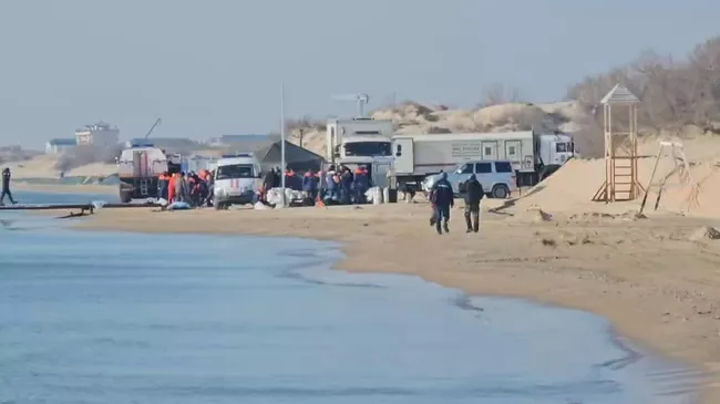 Водолаз утонул при проведении работ в зоне разлива мазута в акватории поселка Джемете в Анапе
