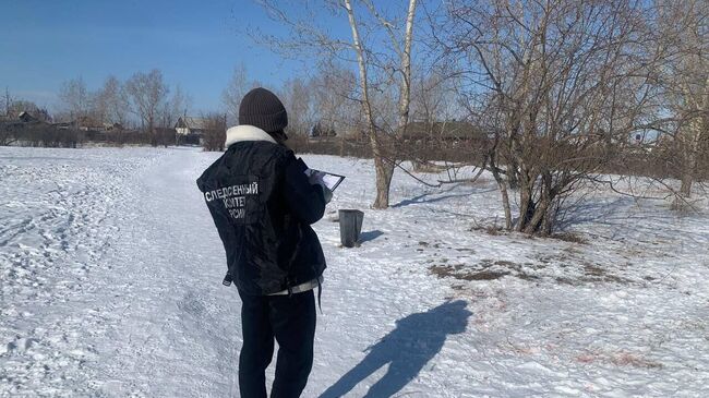 Сотрудник СК в Ширинском районе Хакасии, где стая собак напала на ребенка