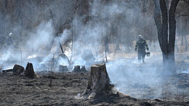 Последствия природных пожаров