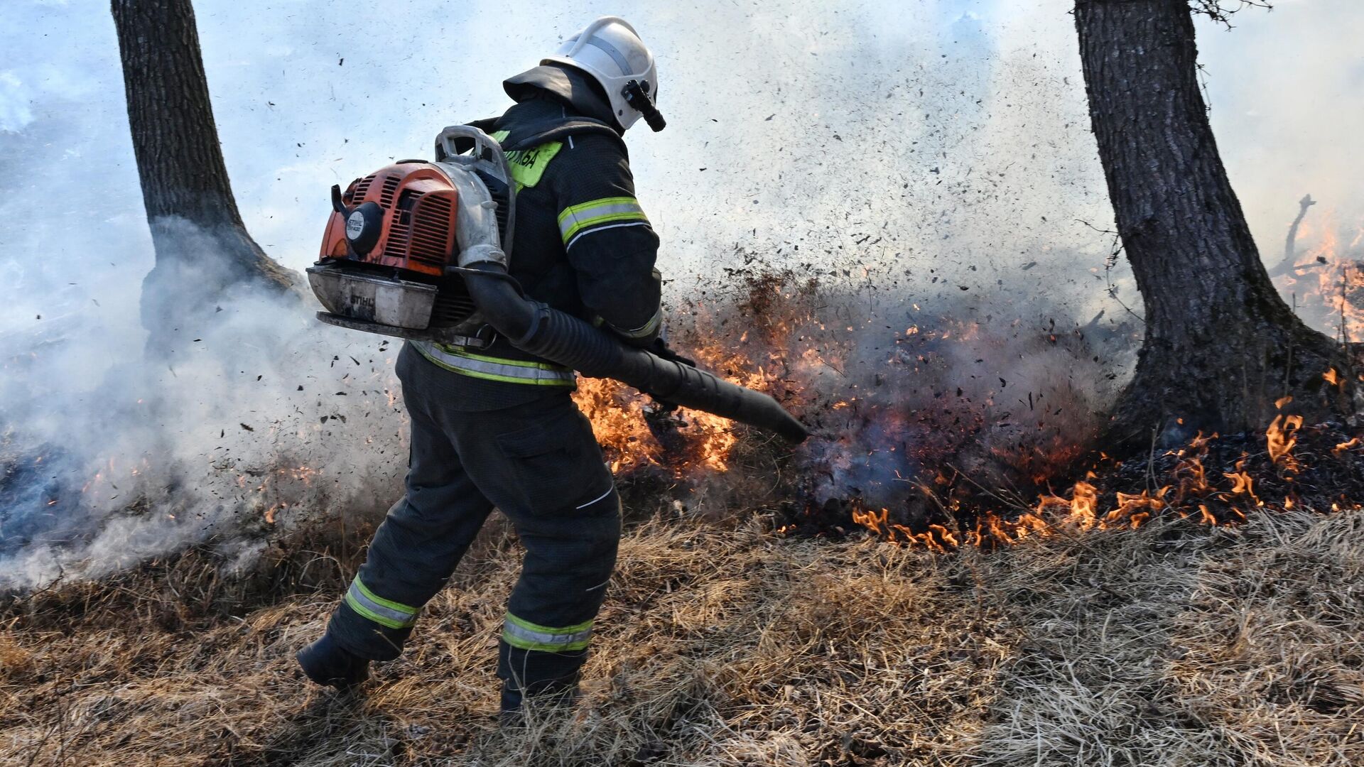 Сотрудник  ГКУ Приморского края по пожарной безопасности тушит пал сухой травы на окраине одного из сел Приморского края - РИА Новости, 1920, 12.03.2025