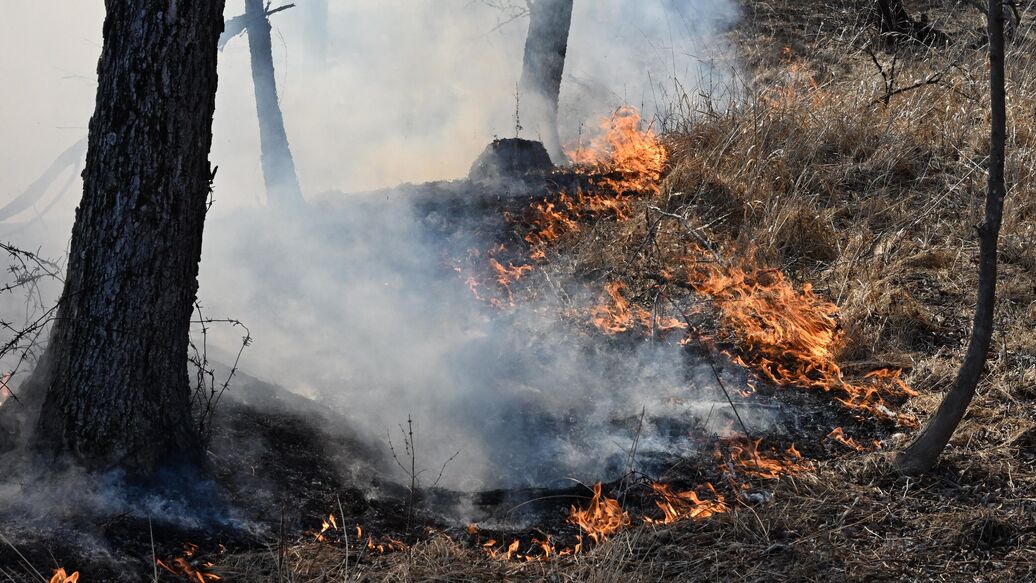 В Бурятии потушили лесные пожары на площади почти 16 тысяч гектаров