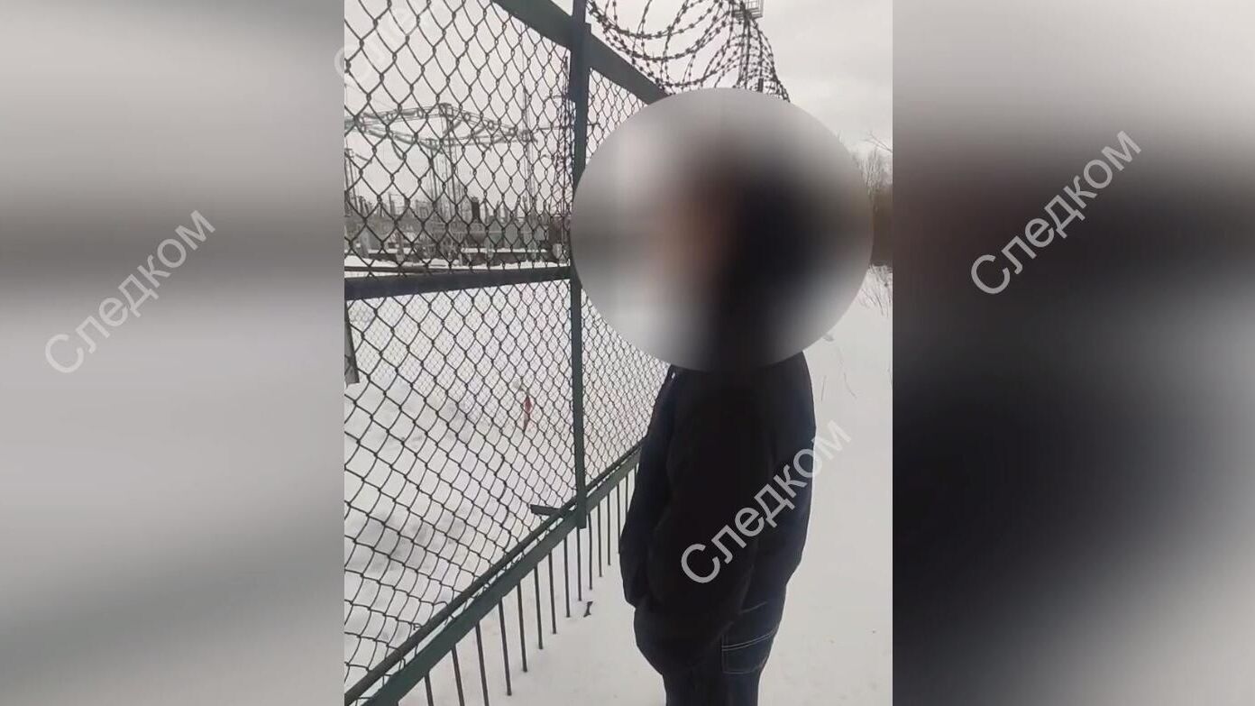 Шестнадцатилетняя жительница Новодвинска Архангельской области, подозреваемая в покушении на диверсию Шестнадцатилетняя жительница Новодвинска Архангельской области, подозреваемая в покушении на диверсию - РИА Новости, 1920, 07.03.2025