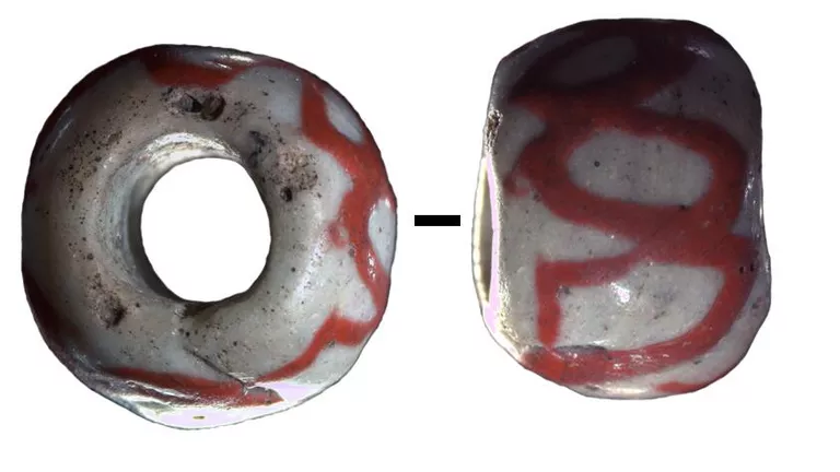 2004550711_0:108:843:582_768x0_80_0_0_ec