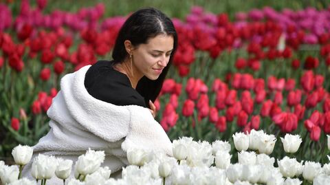 Парад тюльпанов в Крыму