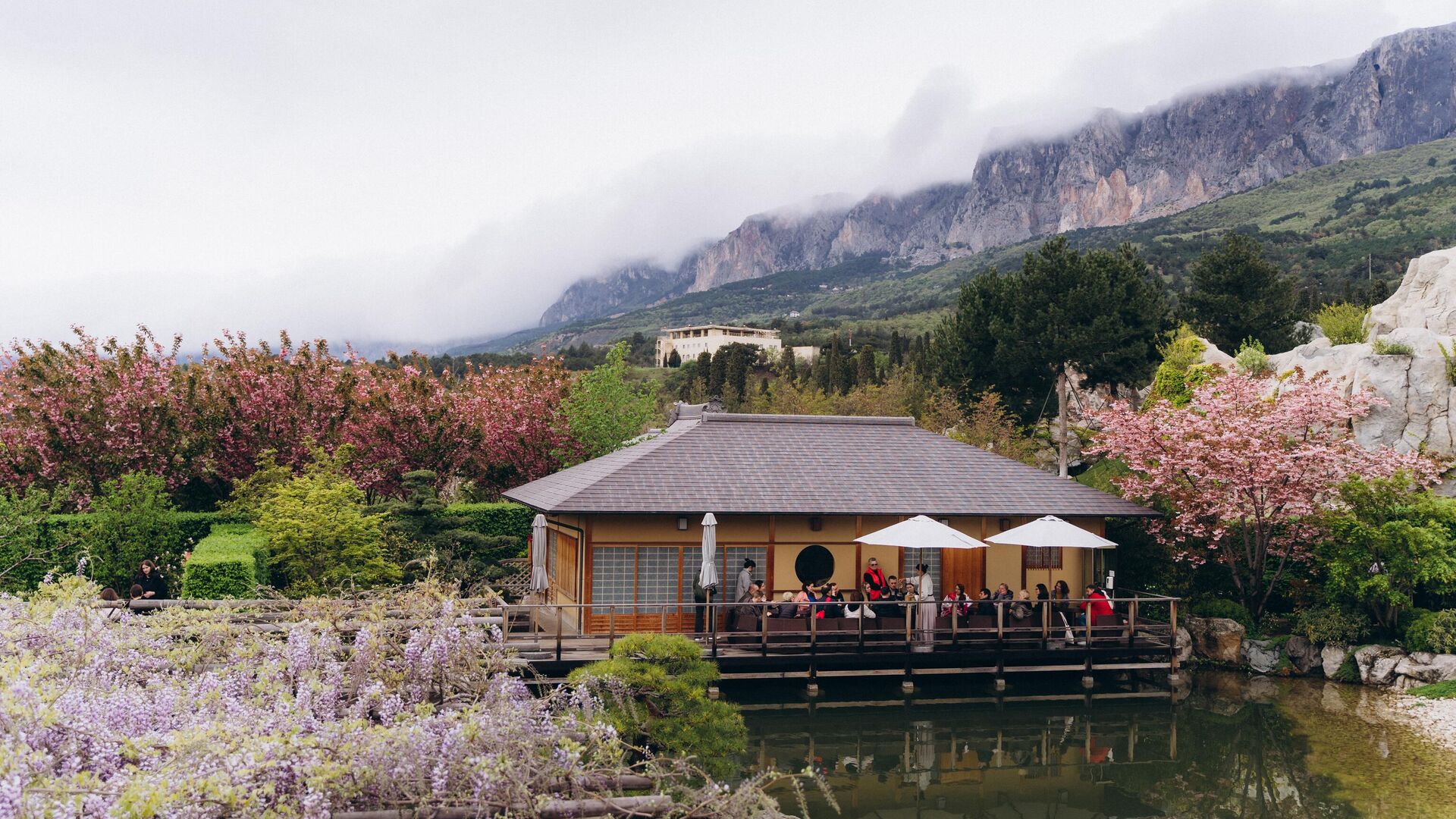 Фестиваль сакуры Фестиваль сакуры - РИА Новости, 1920, 17.03.2025