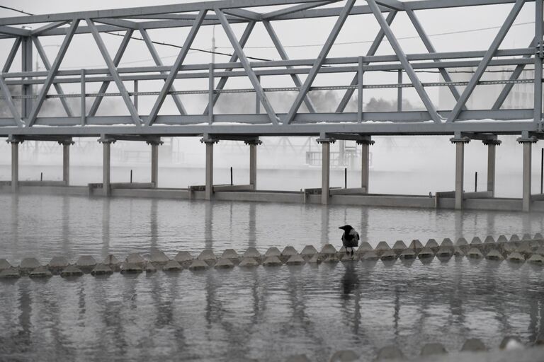 Реконструкция Люберецких очистных сооружений Реконструкция Люберецких очистных сооружений