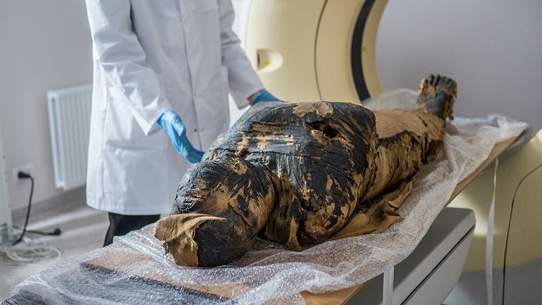 Мумия Таинственная леди Мумия Таинственная леди - РИА Новости, 1920, 19.03.2025