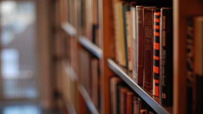 Полка с книгами Полка с книгами