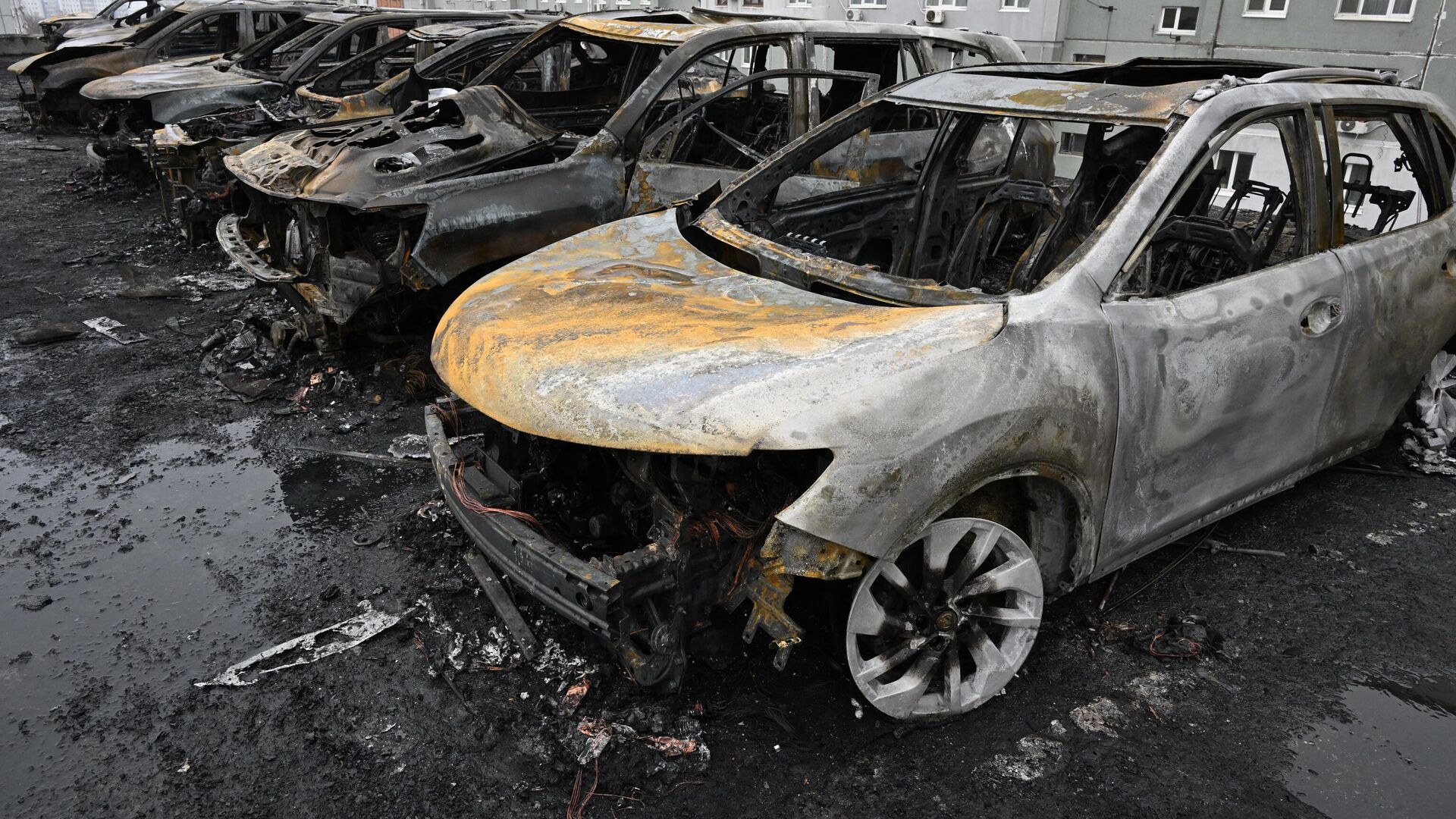 Сгоревшие автомобили на стоянке на улице Пихтовая во Владивостоке - РИА Новости, 1920, 24.03.2025