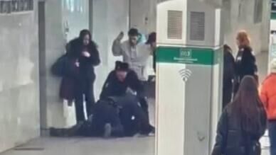 Задержание пассажира метро, стрелявшего в салон вагона из сигнала охотника на станции метро Василеостровская в Санкт-Петербурге - РИА Новости, 1920, 24.03.2025