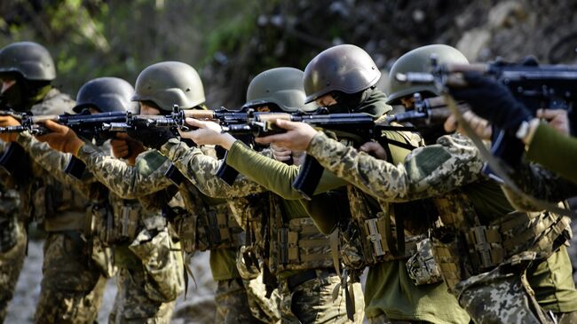 Украинские военные