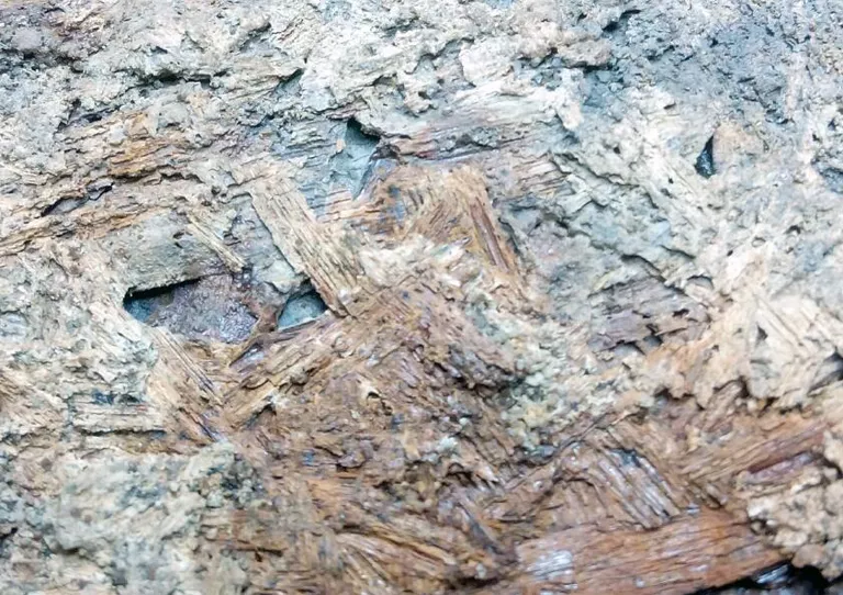 2008586554_0:0:842:595_768x0_80_0_0_8902