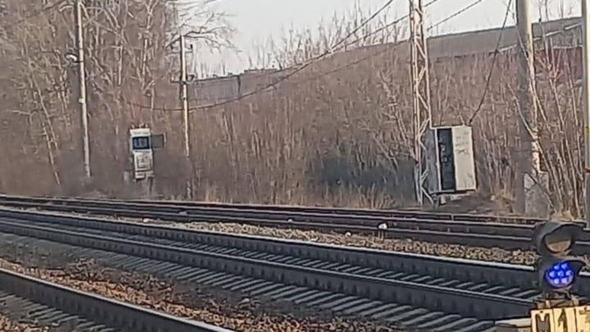 Трое подростков по заданию куратора совершили поджог на ж/д в Подмосковье  - РИА Новости, 1920, 01.04.2025