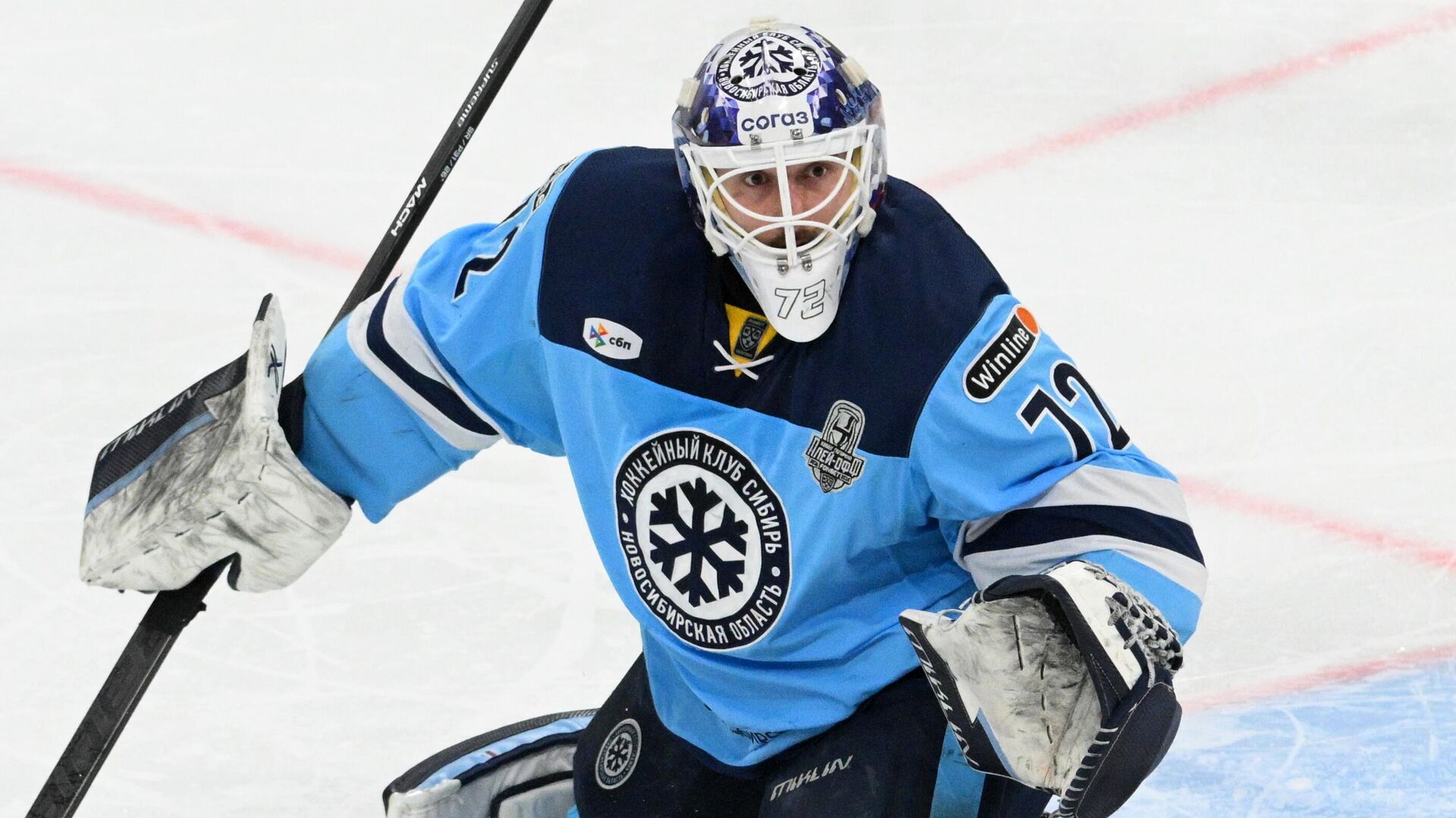 Вратарь Сибири Денис Костин - РИА Новости, 1920, 02.04.2025