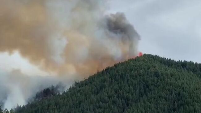 Лесной пожар возле села Инкучимахи в Дагестане