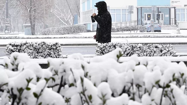 Мужчина во время снегопада в Москве