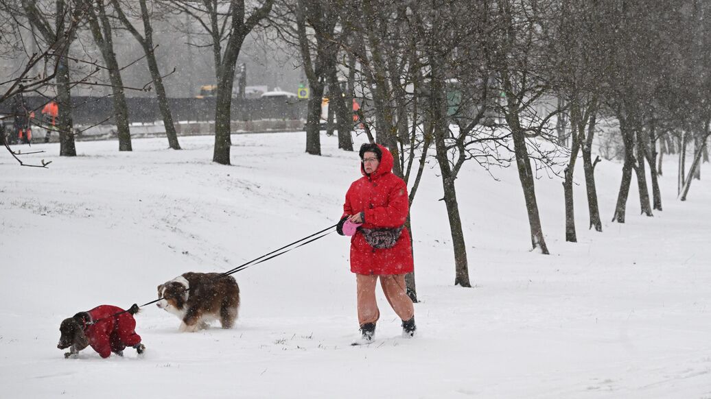 Снег лежит уже на 60 процентах территории России, заявил Вильфанд
