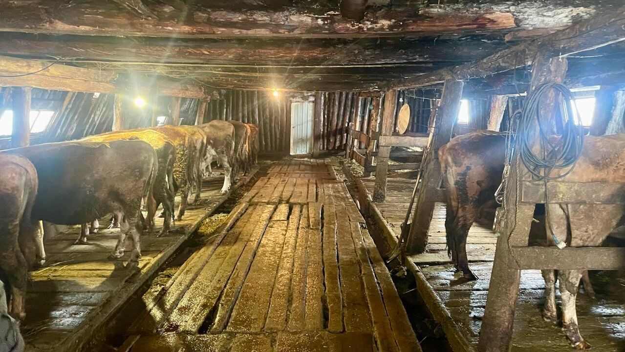 Ферма, на которой работал мужчина, удерживаемый в рабстве в Нюрбинском районе Якутии Ферма, на которой работал мужчина, удерживаемый в рабстве в Нюрбинском районе Якутии - РИА Новости, 1920, 06.04.2025