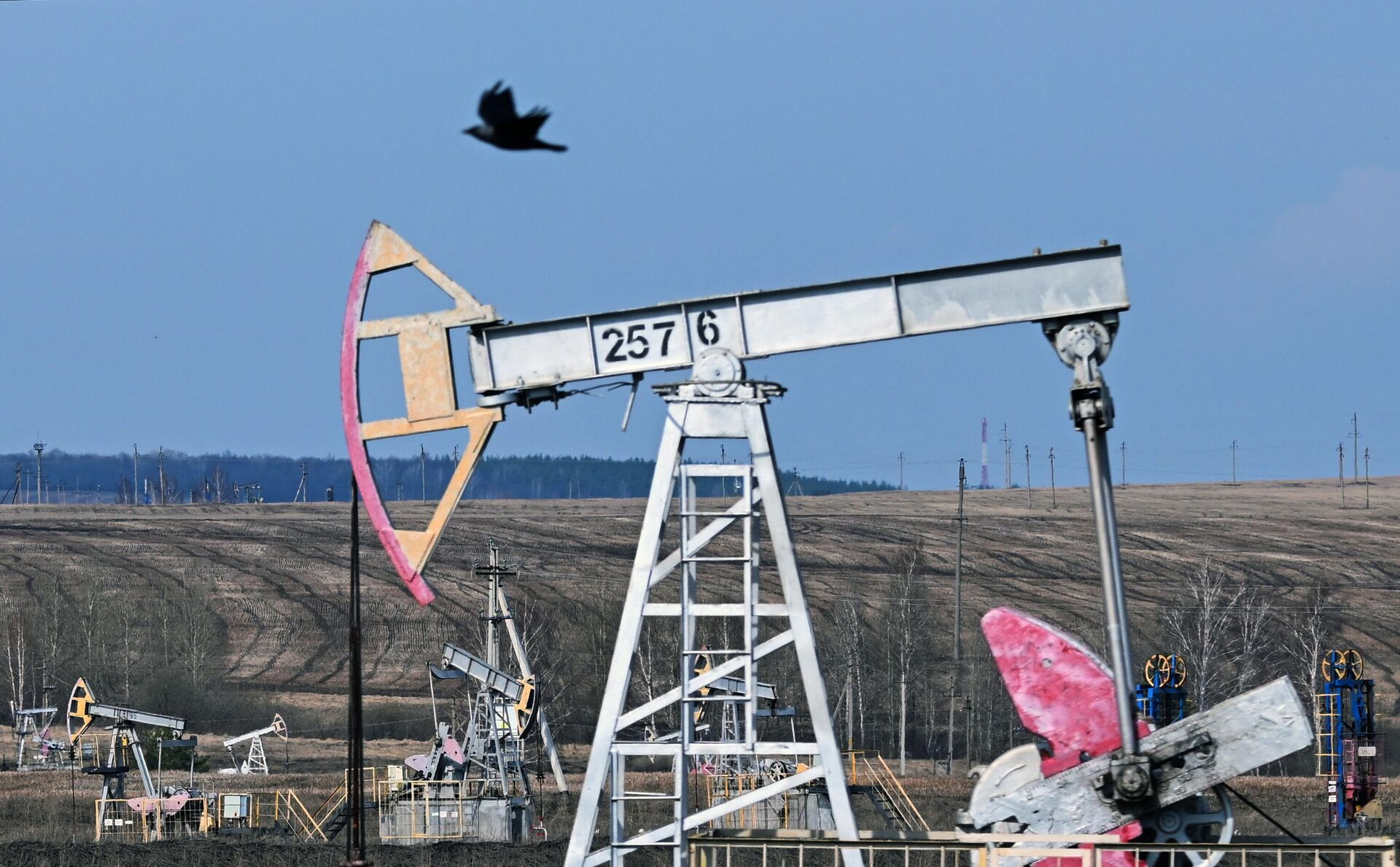 Добыча нефти в Татарстане - РИА Новости, 1920, 21.08.2025