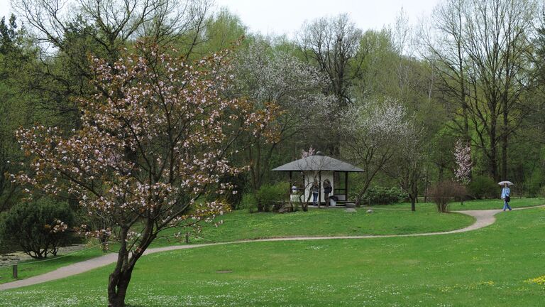 Японский сад главного ботанического сада им. Н.В.Цицина РАН