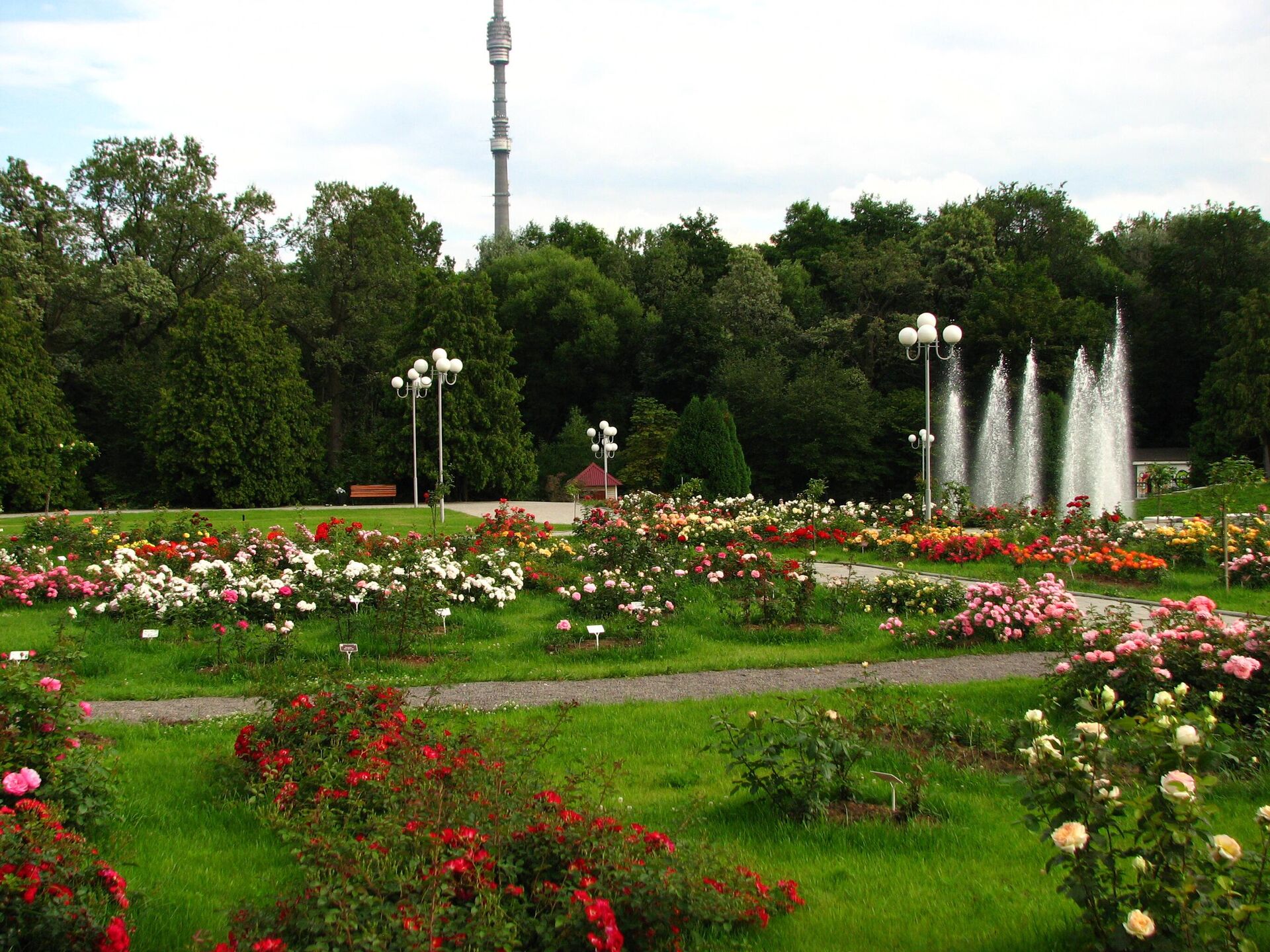 Розарий в Главном ботаническом саду им. Цицина РАН в Москве - РИА Новости, 1920, 11.04.2025