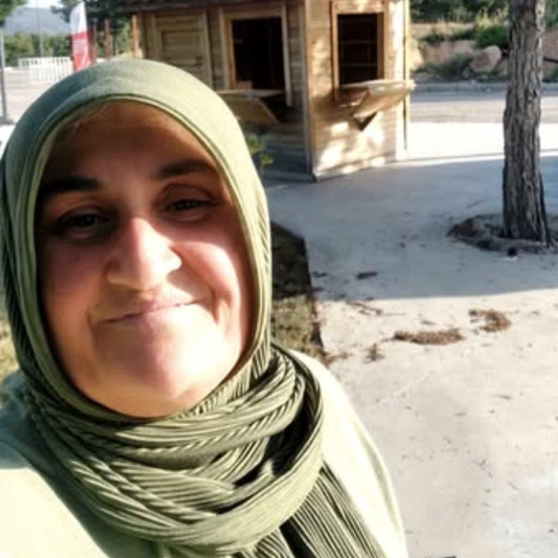 Көлікте жыныстық қатынасқа түсу видеосы