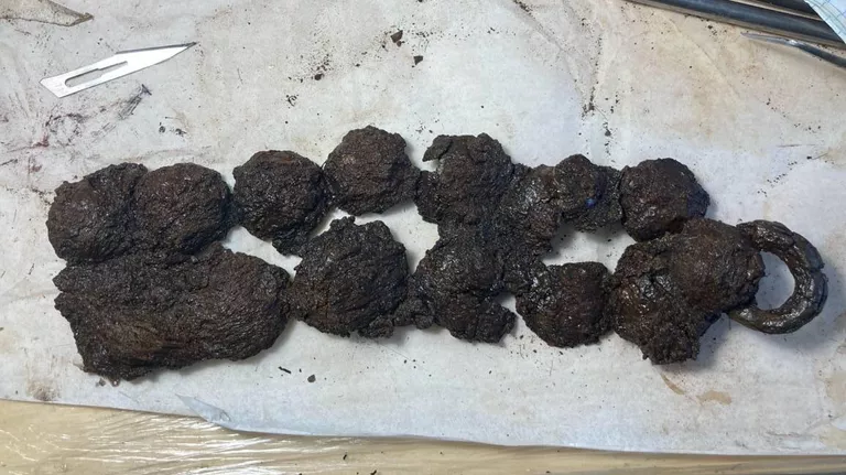 2010772642_80:217:1236:867_768x0_80_0_0_