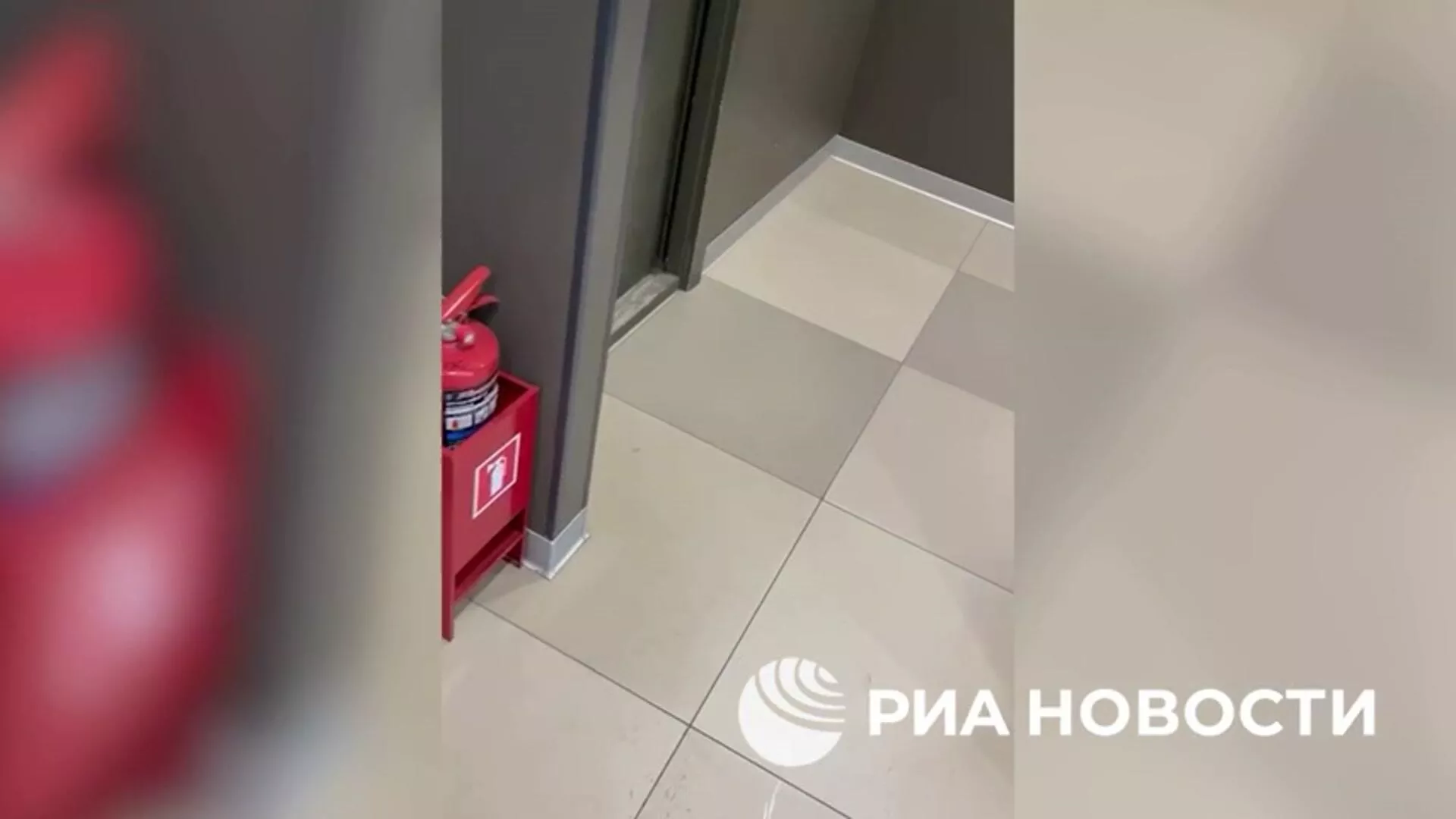 Признание гражданина Молдавии, который привез в Россию взрывчатку для терактов - РИА Новости, 1920, 14.04.2025
