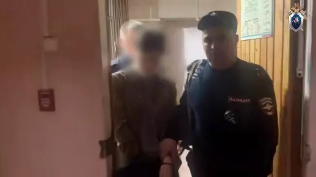 Женщина, обвиняемая в убийстве троих детей в красноярском Канске