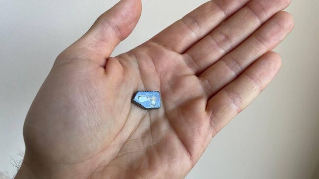 Ольгафранкит на руке исследователя